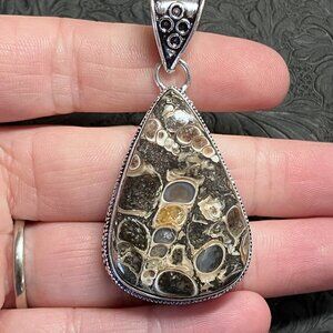 Elimia Turitella Agate Pendant